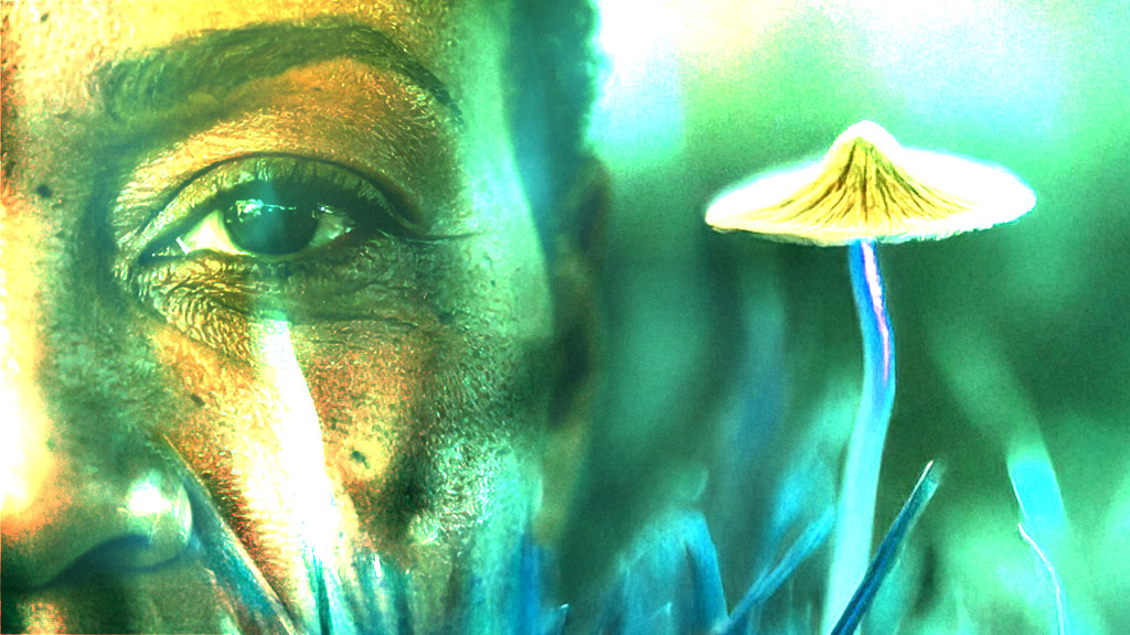 Psilocibina pode retardar o envelhecimento celular? Novo estudo revela efeitos surpreendentes.