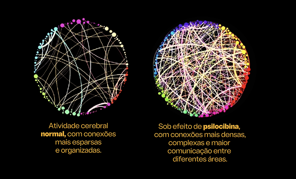 Cerebro normal e cerebro sob o efeito de psilocibina